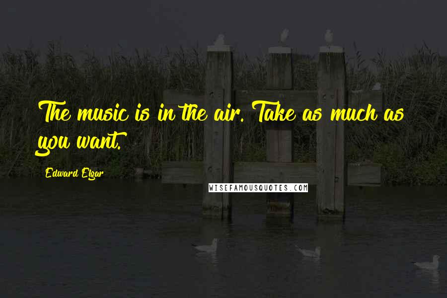 Edward Elgar quotes: The music is in the air. Take as much as you want.