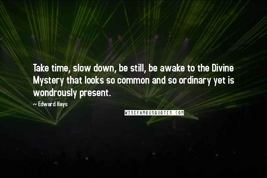 Edward Hays quotes: Take time, slow down, be still, be awake to the Divine Mystery that looks so common and so ordinary yet is wondrously present.