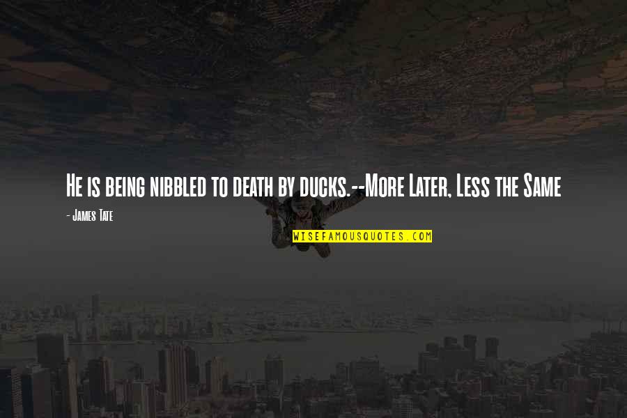 Edward Monkton Love Quotes By James Tate: He is being nibbled to death by ducks.--More