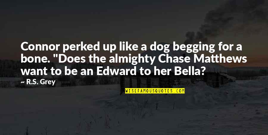 Edward N Bella Quotes By R.S. Grey: Connor perked up like a dog begging for