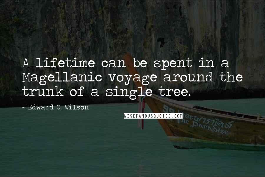 Edward O. Wilson quotes: A lifetime can be spent in a Magellanic voyage around the trunk of a single tree.