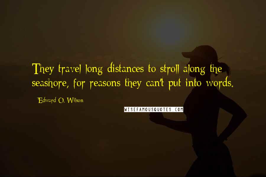 Edward O. Wilson quotes: They travel long distances to stroll along the seashore, for reasons they can't put into words.