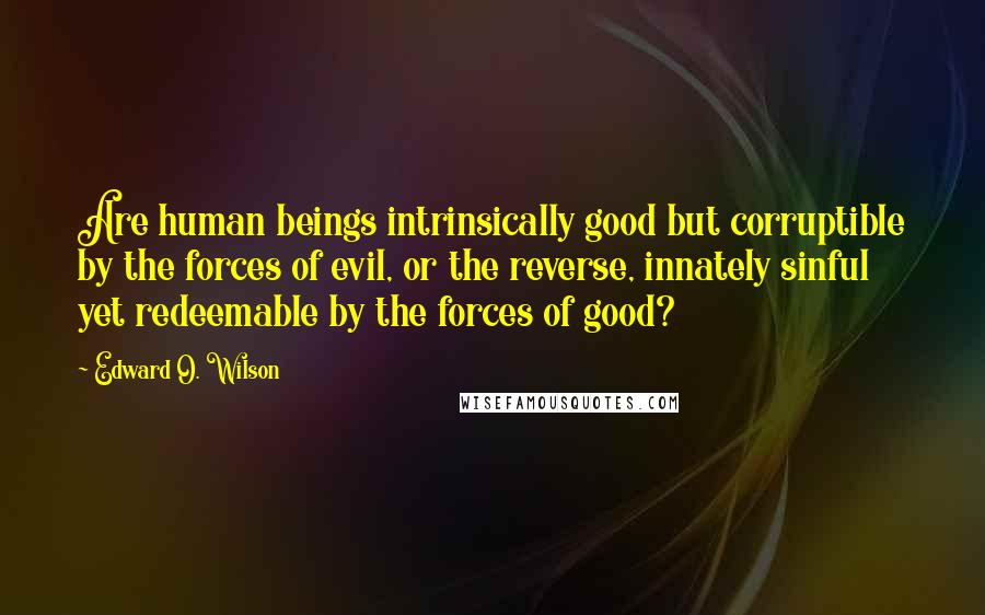 Edward O. Wilson quotes: Are human beings intrinsically good but corruptible by the forces of evil, or the reverse, innately sinful yet redeemable by the forces of good? Edward O. Wilson quotes: Are human beings intrinsically good but corruptible by the forces of evil, or the reverse, innately sinful yet redeemable by the forces of good?