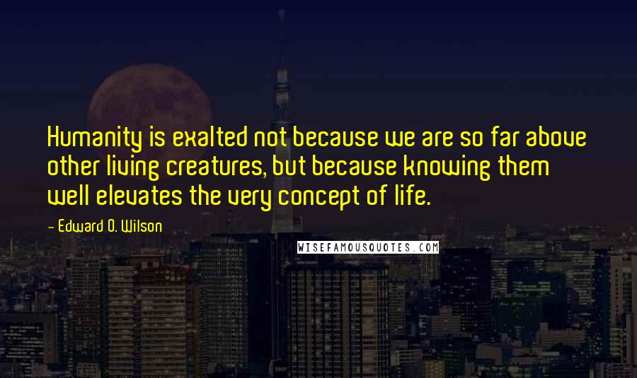 Edward O. Wilson quotes: Humanity is exalted not because we are so far above other living creatures, but because knowing them well elevates the very concept of life. Edward O. Wilson quotes: Humanity is exalted not because we are so far above other living creatures, but because knowing them well elevates the very concept of life.