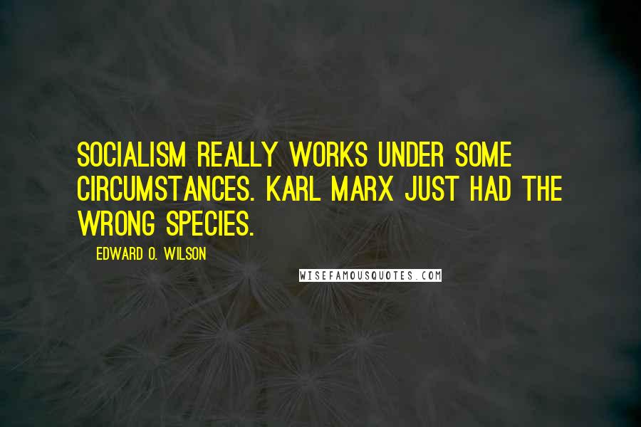 Edward O. Wilson quotes: Socialism really works under some circumstances. Karl Marx just had the wrong species.