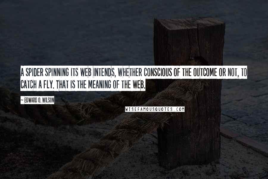 Edward O. Wilson quotes: A spider spinning its web intends, whether conscious of the outcome or not, to catch a fly. That is the meaning of the web.