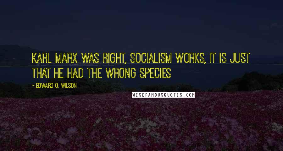 Edward O. Wilson quotes: Karl Marx was right, socialism works, it is just that he had the wrong species