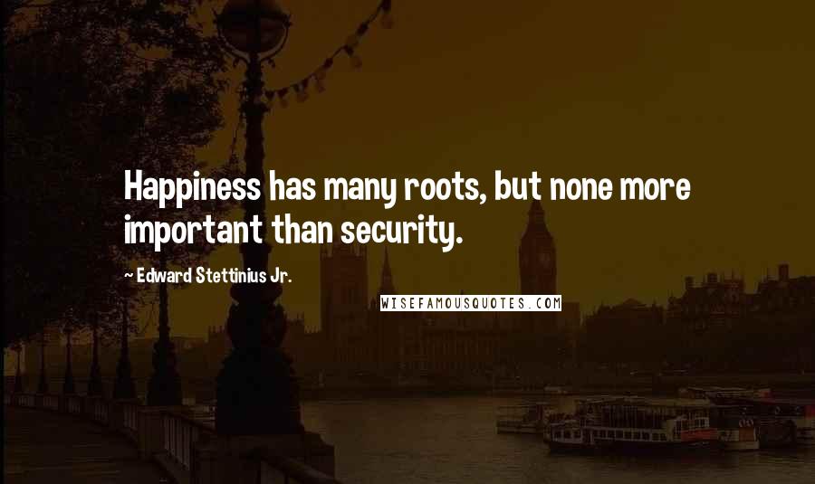 Edward Stettinius Jr. quotes: Happiness has many roots, but none more important than security.