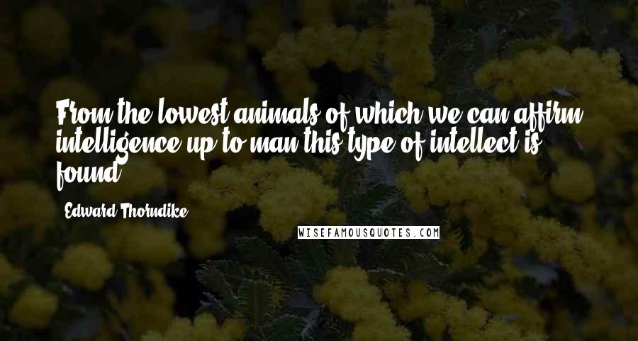 Edward Thorndike quotes: From the lowest animals of which we can affirm intelligence up to man this type of intellect is found.