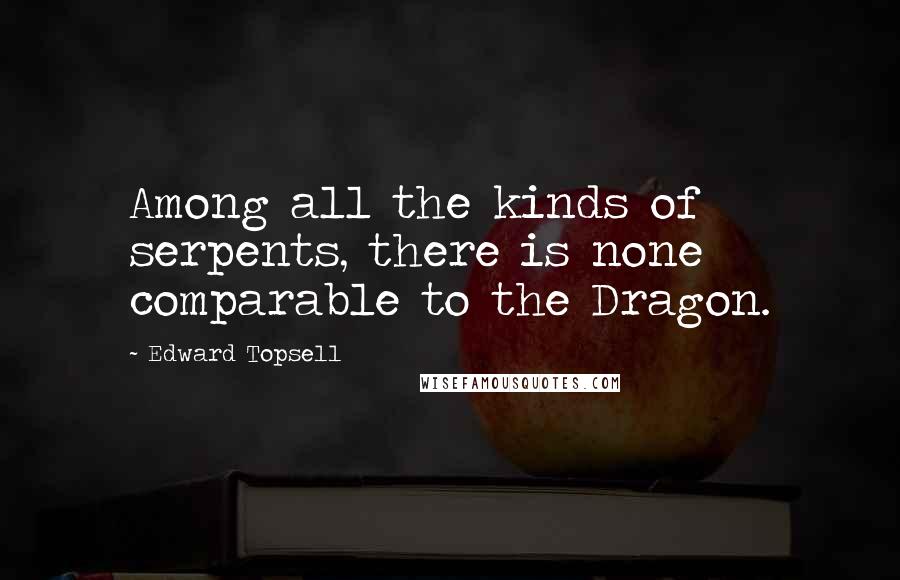 Edward Topsell quotes: Among all the kinds of serpents, there is none comparable to the Dragon.