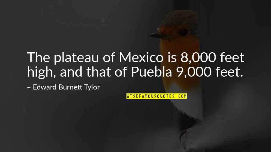 Edward Tylor Quotes By Edward Burnett Tylor: The plateau of Mexico is 8,000 feet high,