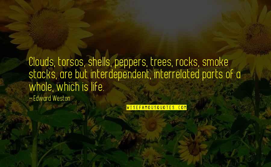 Edward Weston Quotes By Edward Weston: Clouds, torsos, shells, peppers, trees, rocks, smoke stacks,