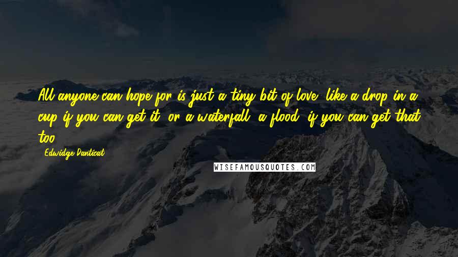 Edwidge Danticat quotes: All anyone can hope for is just a tiny bit of love, like a drop in a cup if you can get it, or a waterfall, a flood, if you