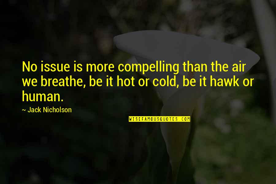 Edwin Budding Quotes By Jack Nicholson: No issue is more compelling than the air