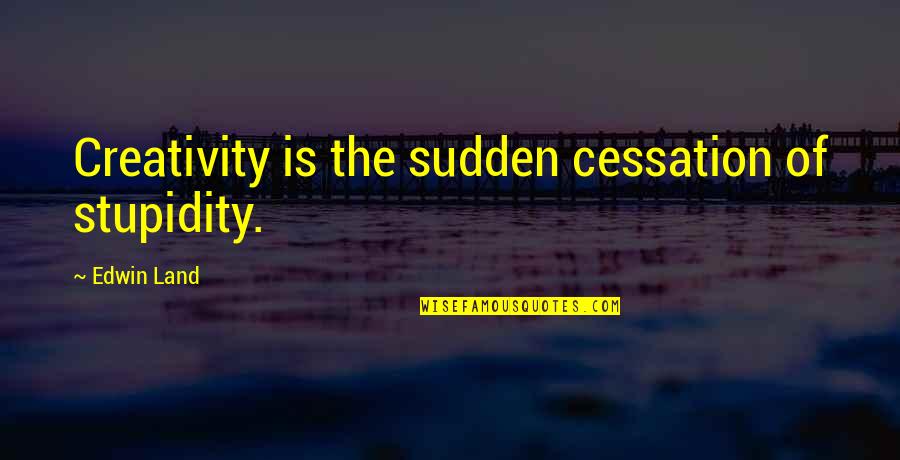 Edwin Quotes By Edwin Land: Creativity is the sudden cessation of stupidity.