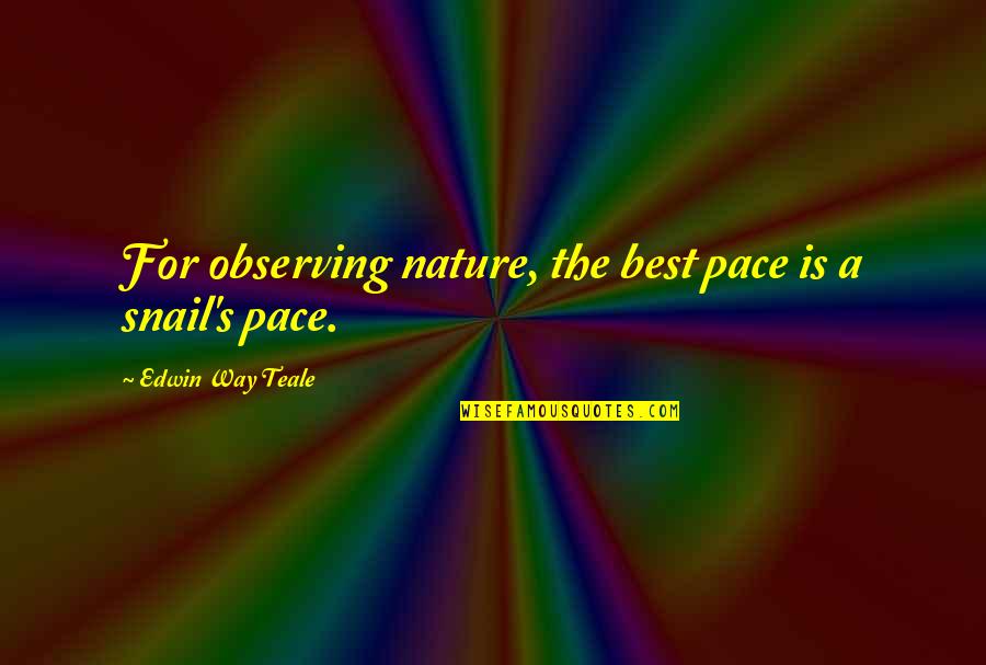 Edwin Teale Quotes By Edwin Way Teale: For observing nature, the best pace is a