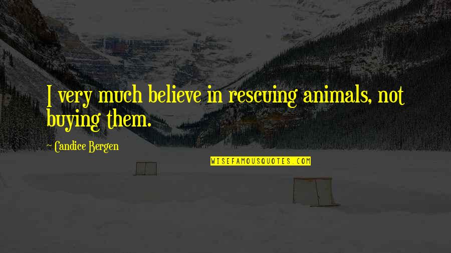 Eedyttka Quotes By Candice Bergen: I very much believe in rescuing animals, not Eedyttka Quotes By Candice Bergen: I very much believe in rescuing animals, not