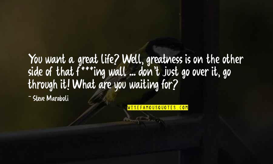 Eeehhh Quotes By Steve Maraboli: You want a great life? Well, greatness is