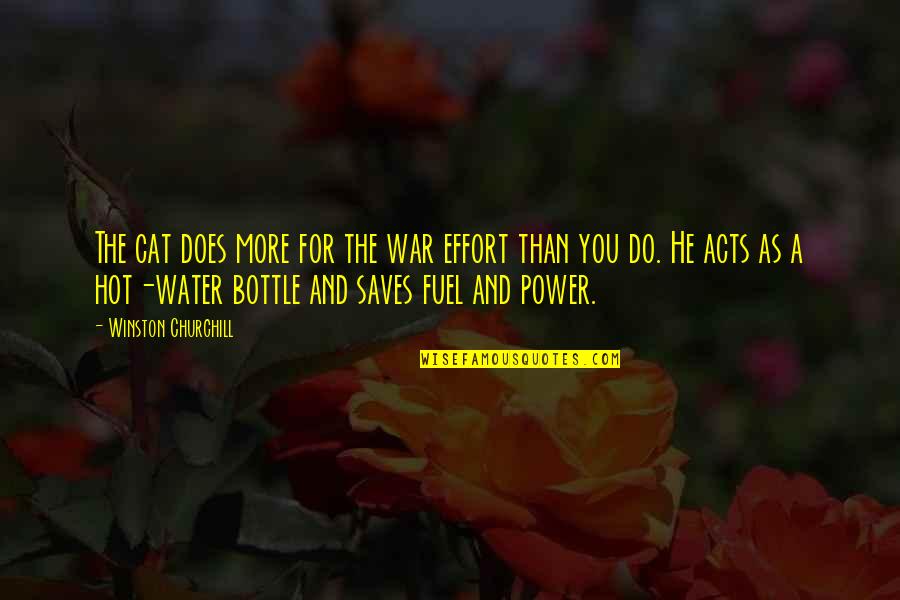 Eerybody Quotes By Winston Churchill: The cat does more for the war effort