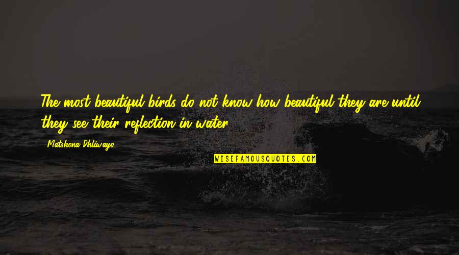 Ef Schumacher Quotes By Matshona Dhliwayo: The most beautiful birds do not know how