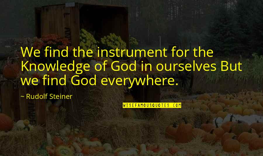 Efeitos Para Quotes By Rudolf Steiner: We find the instrument for the Knowledge of Efeitos Para Quotes By Rudolf Steiner: We find the instrument for the Knowledge of