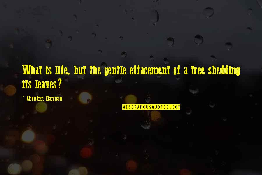 Effacement Quotes By Christian Harrison: What is life, but the gentle effacement of