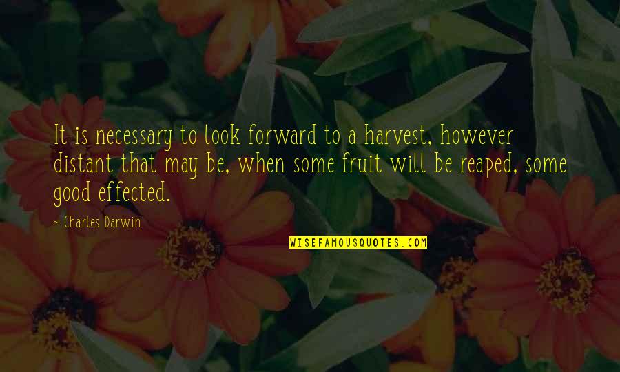 Effected Quotes By Charles Darwin: It is necessary to look forward to a