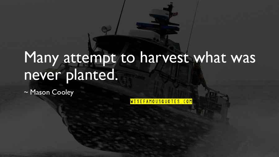 Effective Leadership Communication Quotes By Mason Cooley: Many attempt to harvest what was never planted.