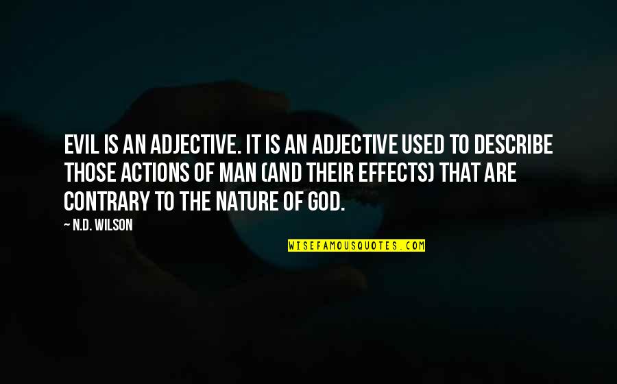 Effects Of Actions Quotes By N.D. Wilson: Evil is an adjective. It is an adjective