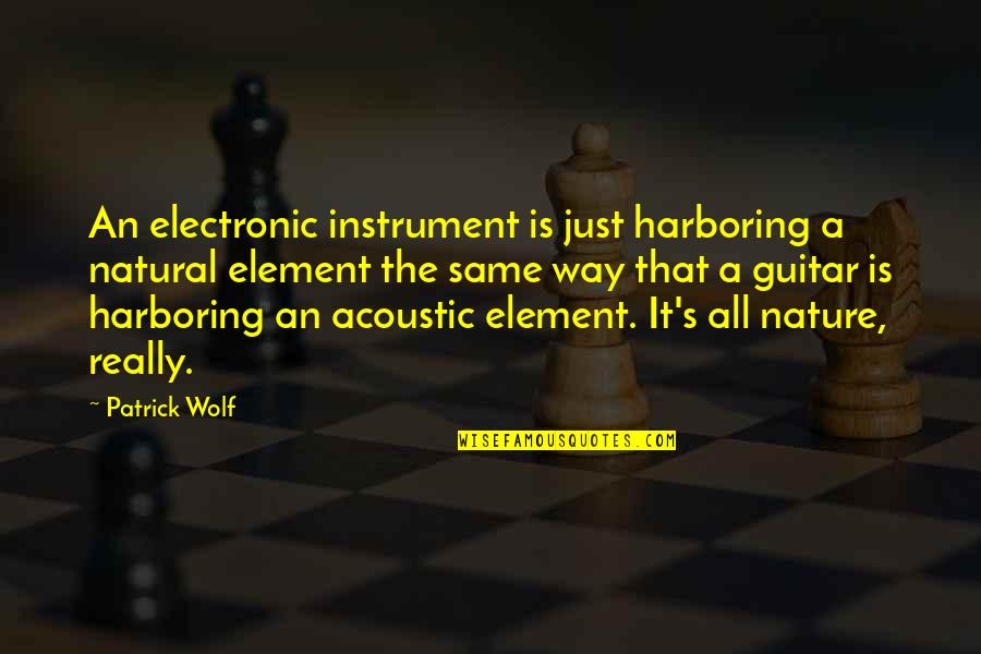 Effects Of Media Quotes By Patrick Wolf: An electronic instrument is just harboring a natural