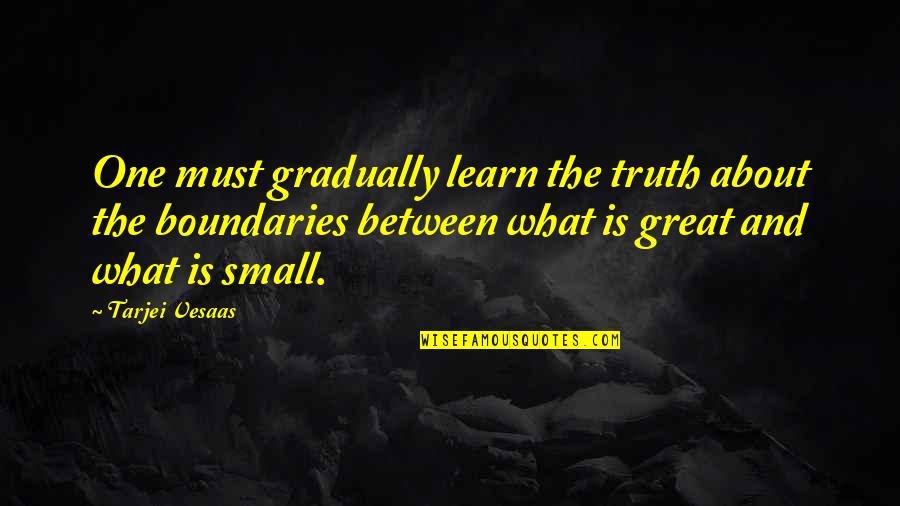 Effects Of Tv Quotes By Tarjei Vesaas: One must gradually learn the truth about the