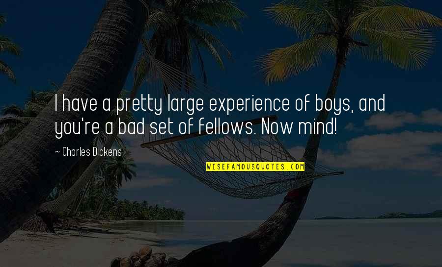 Effects Pollution Quotes By Charles Dickens: I have a pretty large experience of boys, Effects Pollution Quotes By Charles Dickens: I have a pretty large experience of boys,