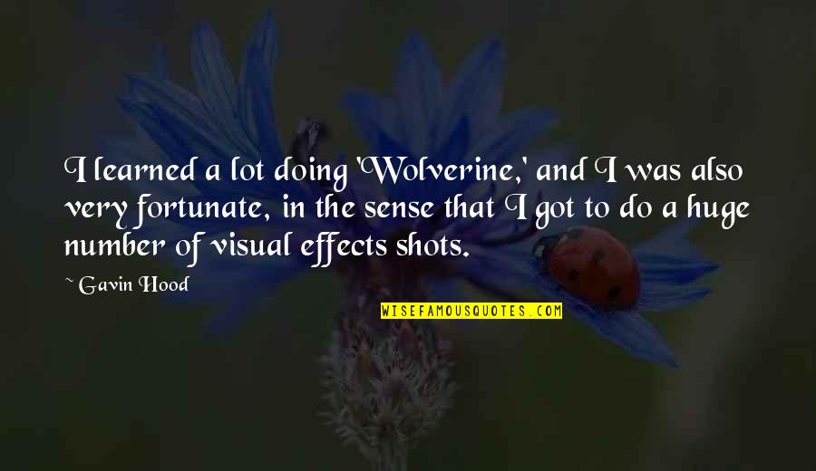 Effects Quotes By Gavin Hood: I learned a lot doing 'Wolverine,' and I