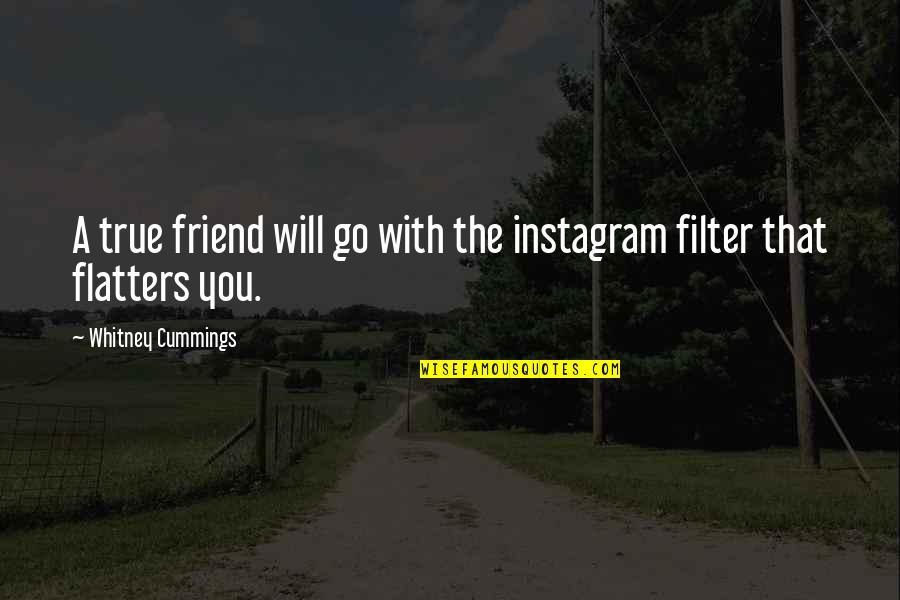 Effexor Medication Quotes By Whitney Cummings: A true friend will go with the instagram