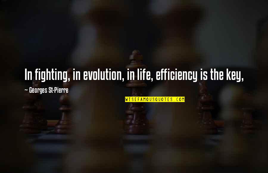 Efficiency Is Key Quotes By Georges St-Pierre: In fighting, in evolution, in life, efficiency is