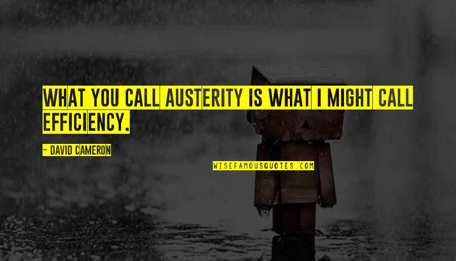 Efficiency Quotes By David Cameron: What you call austerity is what I might
