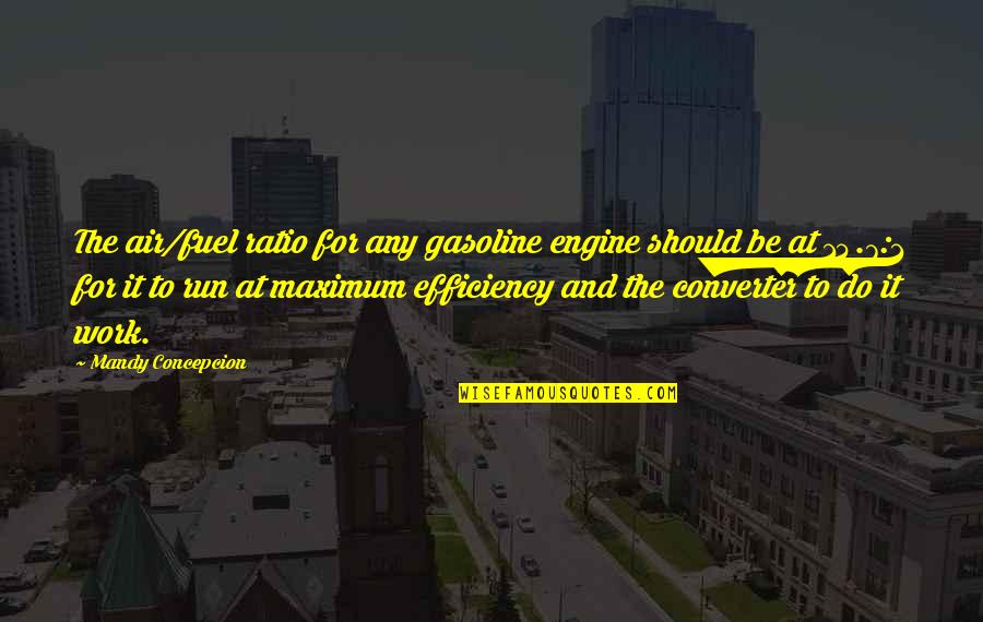 Efficiency Quotes By Mandy Concepcion: The air/fuel ratio for any gasoline engine should