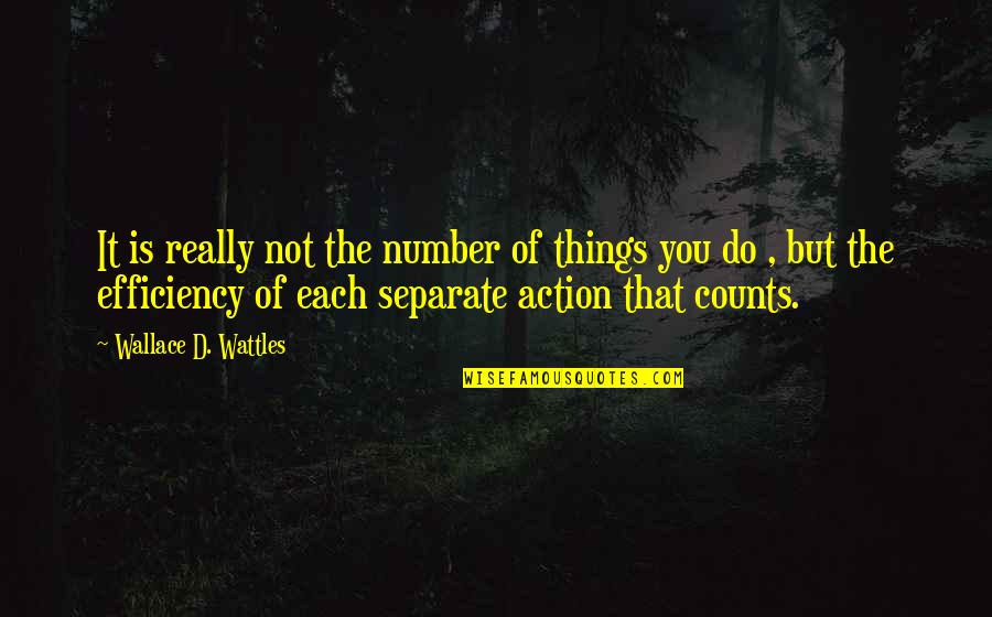 Efficiency Quotes By Wallace D. Wattles: It is really not the number of things