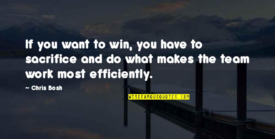 Efficiently Quotes By Chris Bosh: If you want to win, you have to
