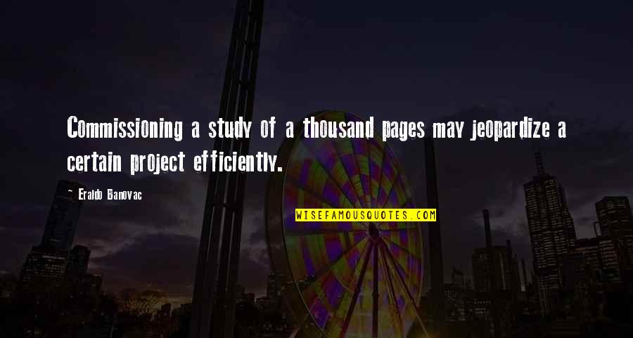 Efficiently Quotes By Eraldo Banovac: Commissioning a study of a thousand pages may