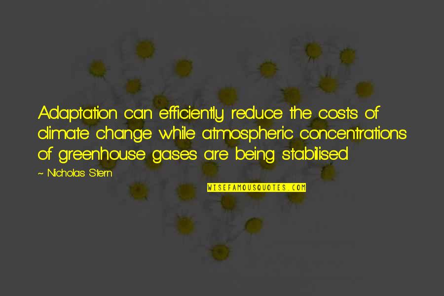 Efficiently Quotes By Nicholas Stern: Adaptation can efficiently reduce the costs of climate