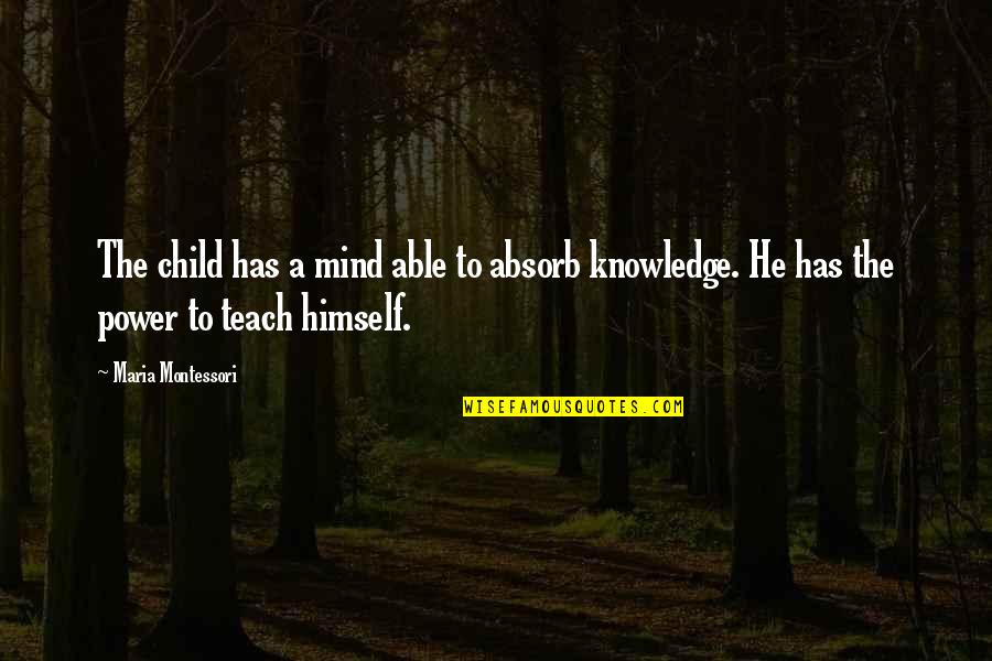 Effort In A Relationship Quotes By Maria Montessori: The child has a mind able to absorb