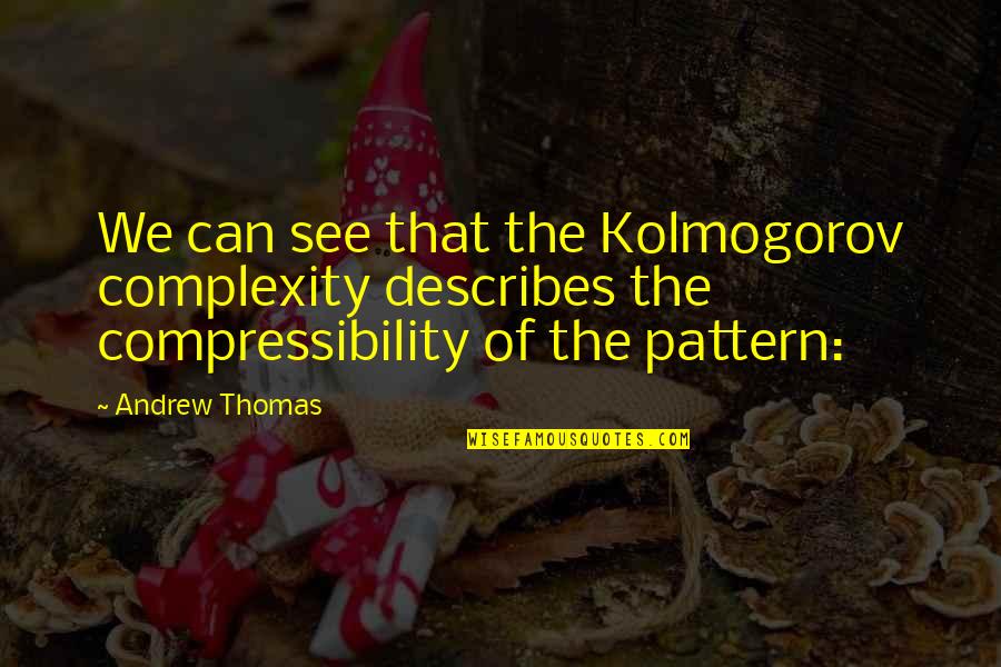 Effort In Relationships Quotes By Andrew Thomas: We can see that the Kolmogorov complexity describes