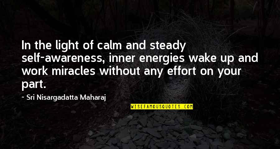 Effort In Work Quotes By Sri Nisargadatta Maharaj: In the light of calm and steady self-awareness,