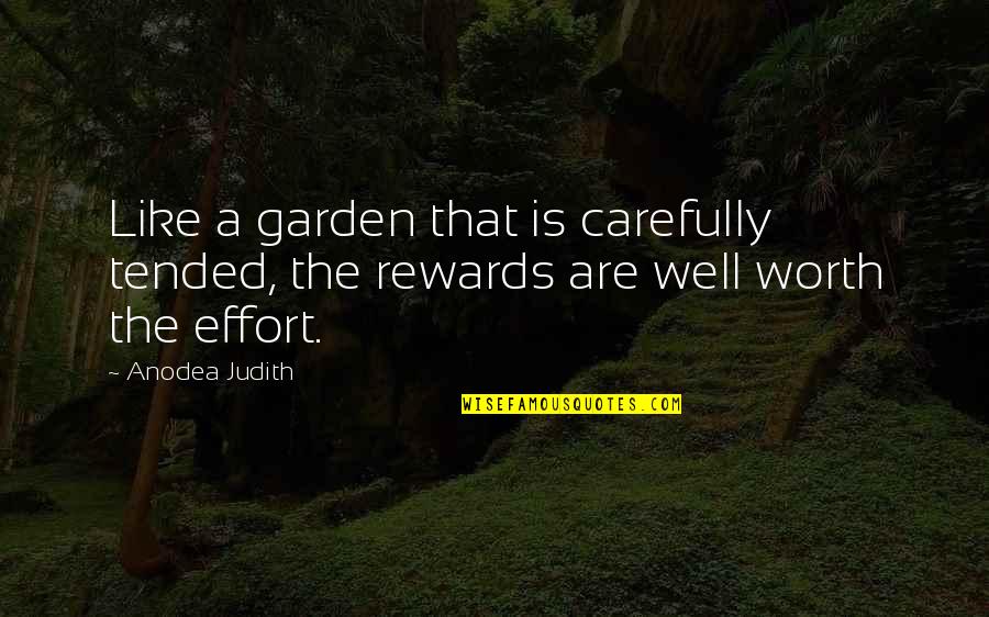 Effort Quotes By Anodea Judith: Like a garden that is carefully tended, the