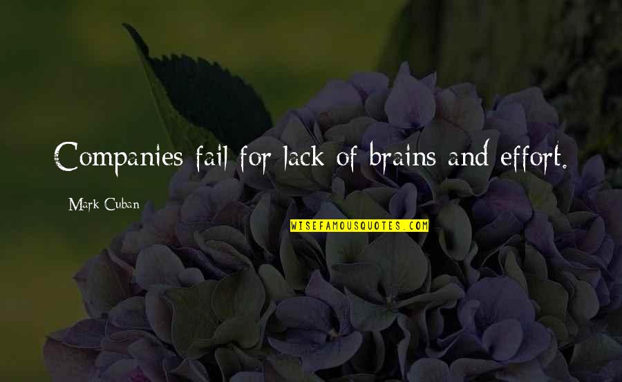 Effort Quotes By Mark Cuban: Companies fail for lack of brains and effort.