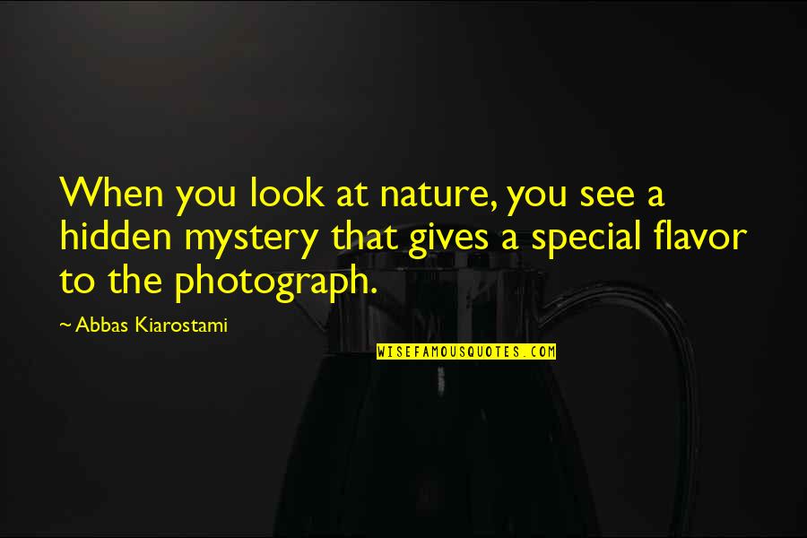 Effort Wasted Quotes By Abbas Kiarostami: When you look at nature, you see a