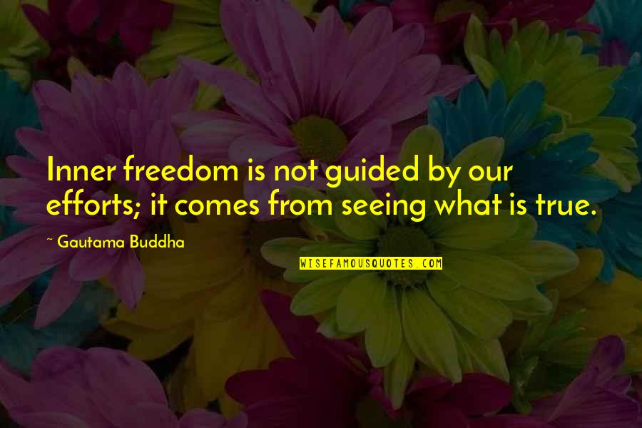 Efforts In Life Quotes By Gautama Buddha: Inner freedom is not guided by our efforts;
