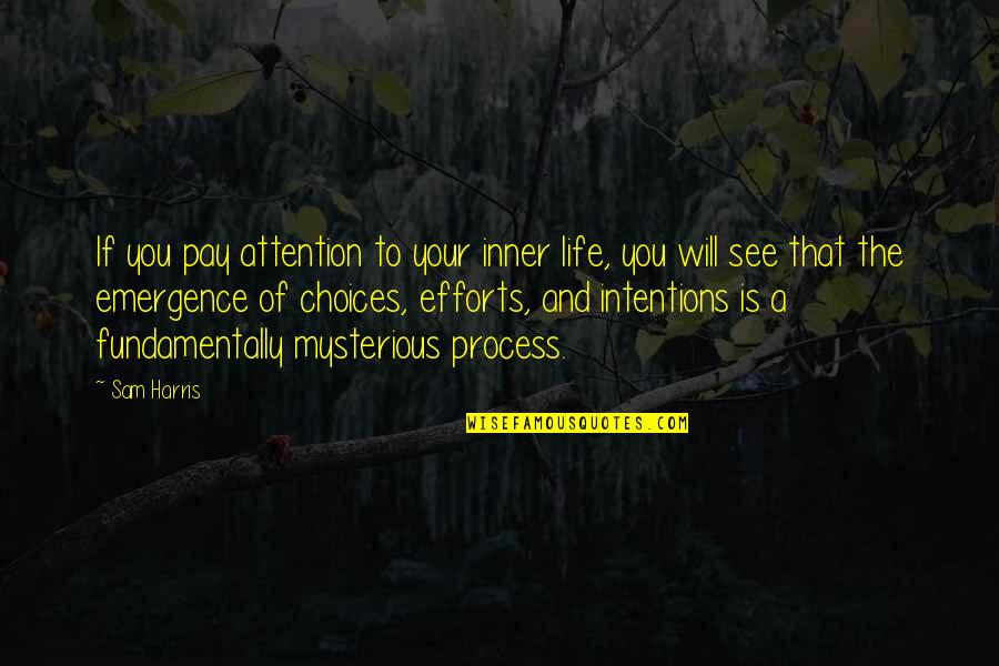 Efforts In Life Quotes By Sam Harris: If you pay attention to your inner life,