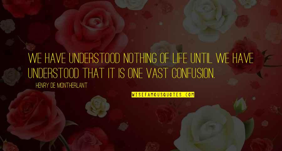 Efforts Not In Vain Quotes By Henry De Montherlant: We have understood nothing of life until we